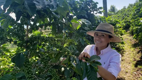 CoffeePrograms