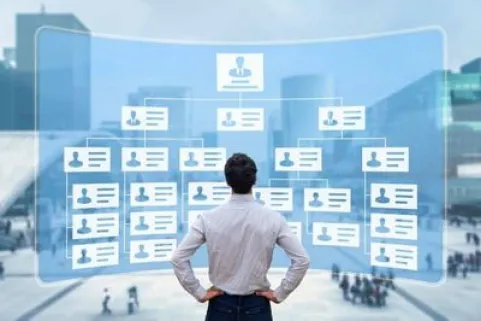 #Expert Insight: Decoding Hierarchies in Business: When is Having a Boss a Benefit for an Organization? /